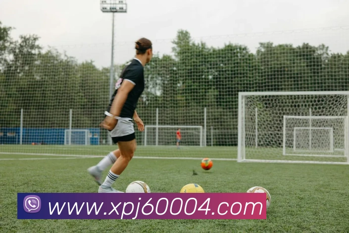 新葡京娱乐城官网平台生态图