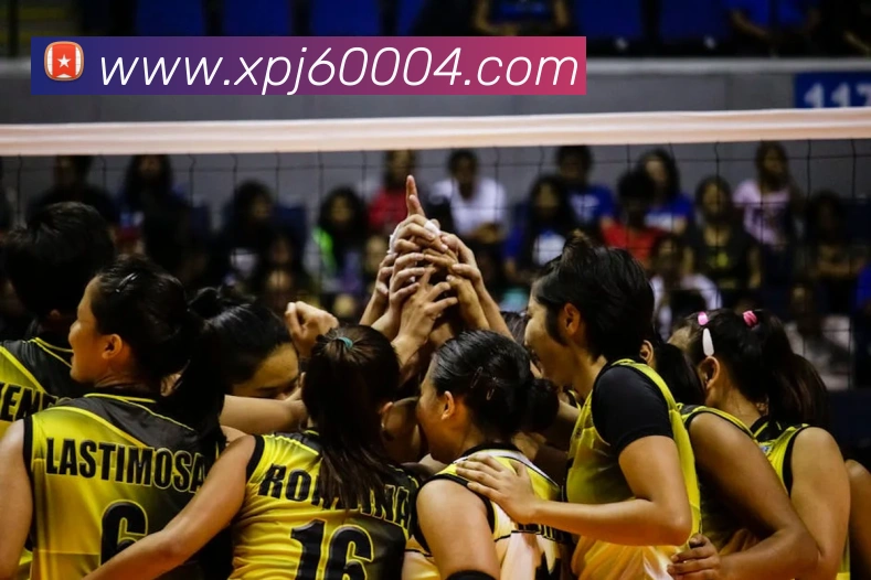 辅助工具 辅助工具