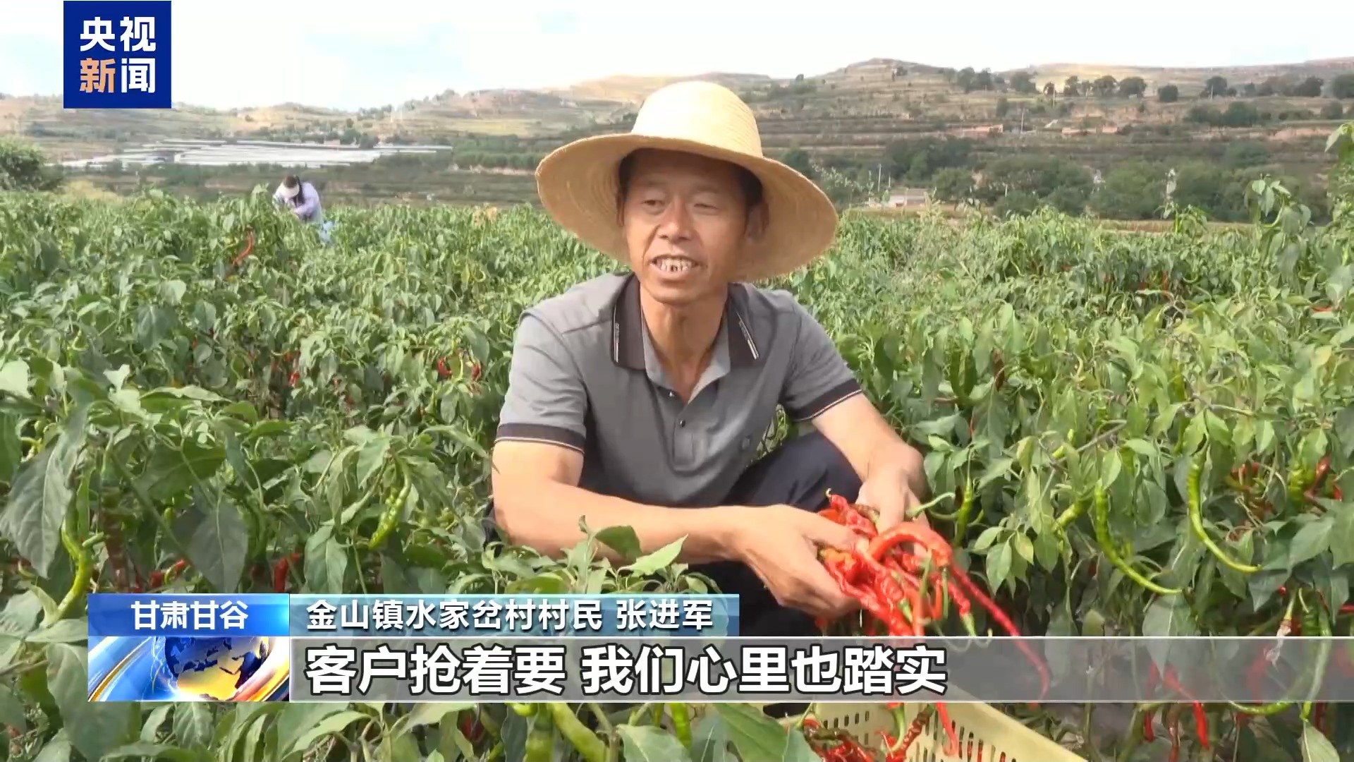 产业！天水麻辣烫“灵魂佐料”丰收啦麻将胡了试玩平台小辣椒“长”成亿元