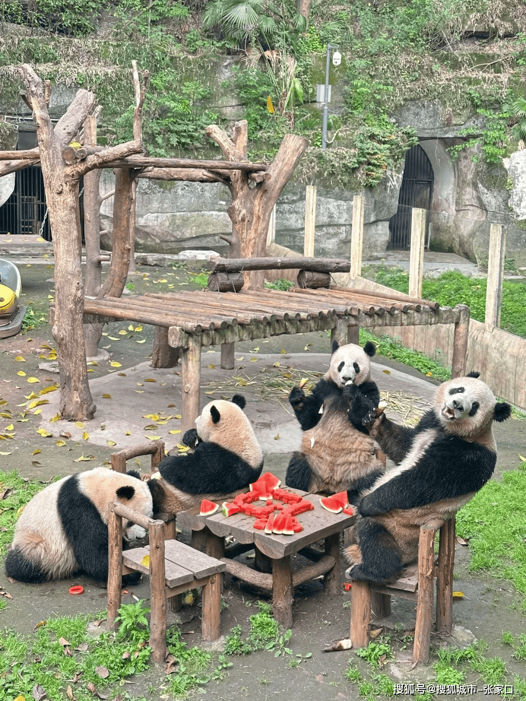 攻略组团去4天重庆旅游必看攻略懒人必看PG麻将胡了免费模拟器重庆四天三夜旅游(图3)